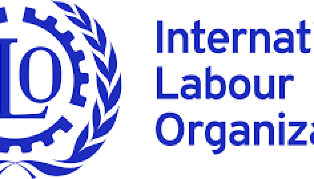 National Project Officer Vacancy-Job Ref: ACQAILO/2411/2020102